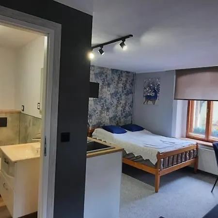 Michalowka Appartement *