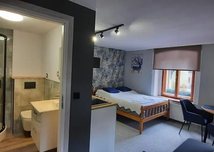 Michalowka Apartment *